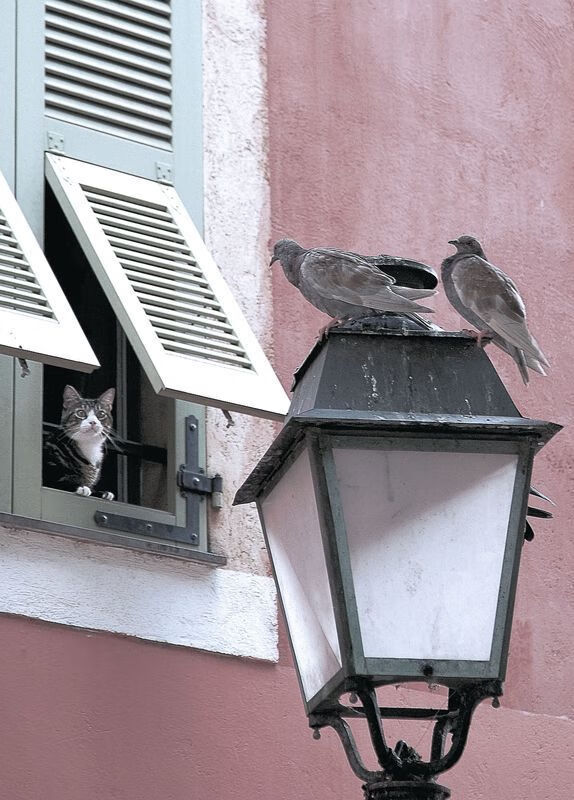 爱游戏体育在线赛事-“中国女足国际友谊赛表现出色，名将闪耀赛场”，中国女足国际排名