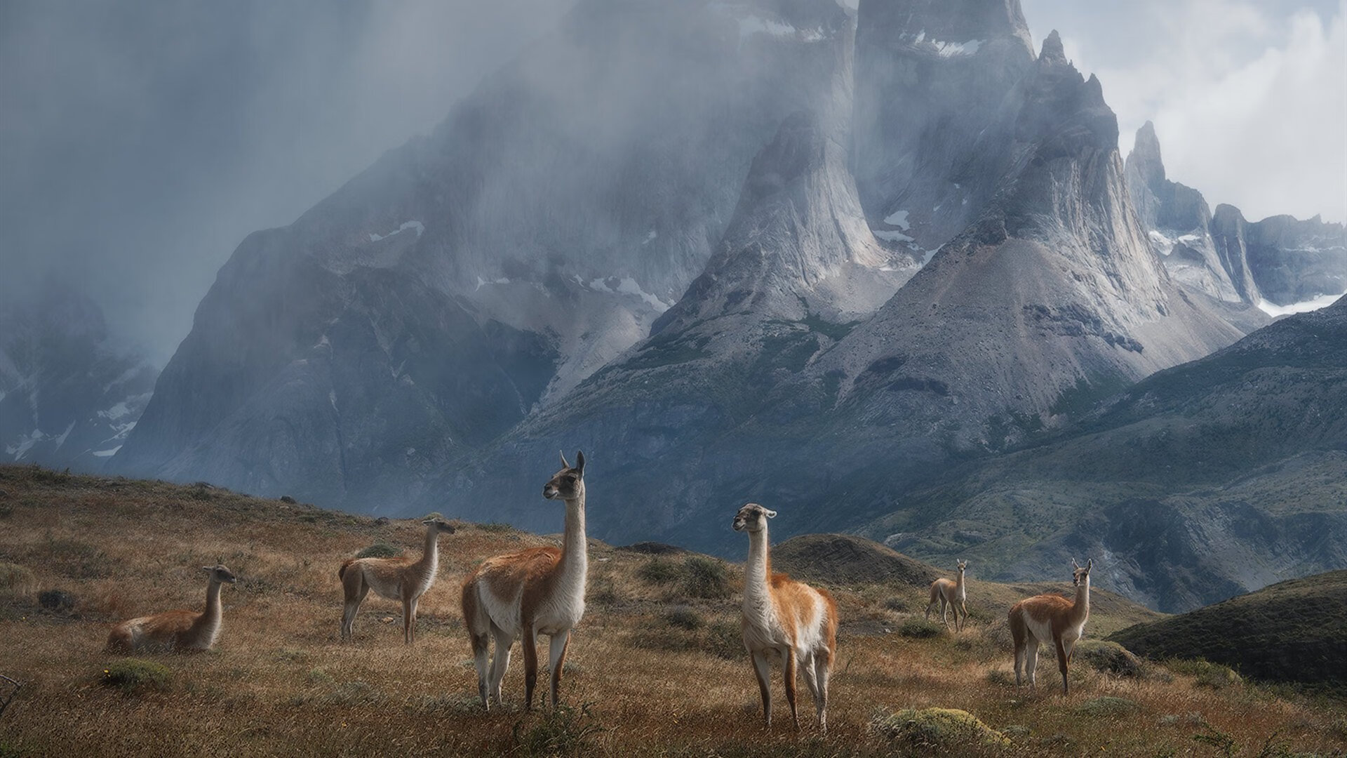 爱游戏内容中心-“中国女足在世界杯预选赛中稳步推进，期待佳绩”，2021年中国女足世界杯预选赛结果