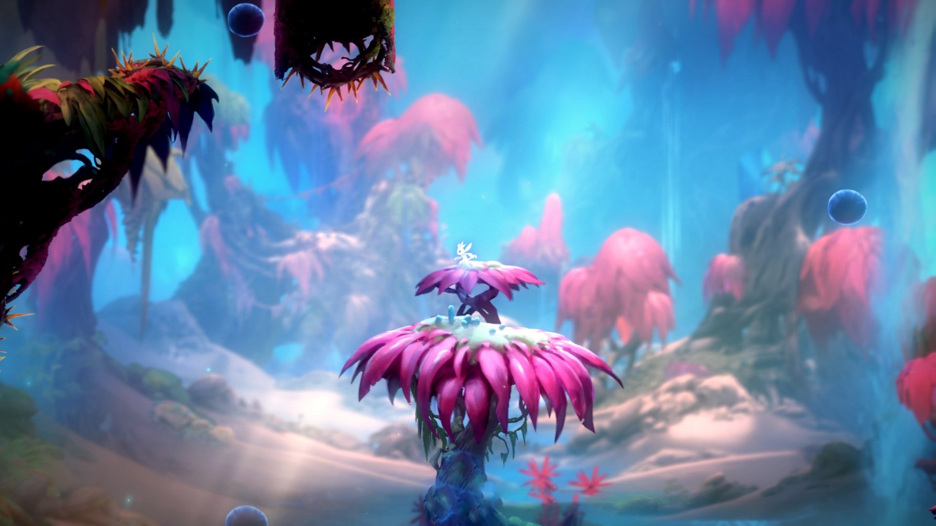 爱游戏全站app注册-“青训明星教练示范课，助力少年球员成长”，青训球员标准