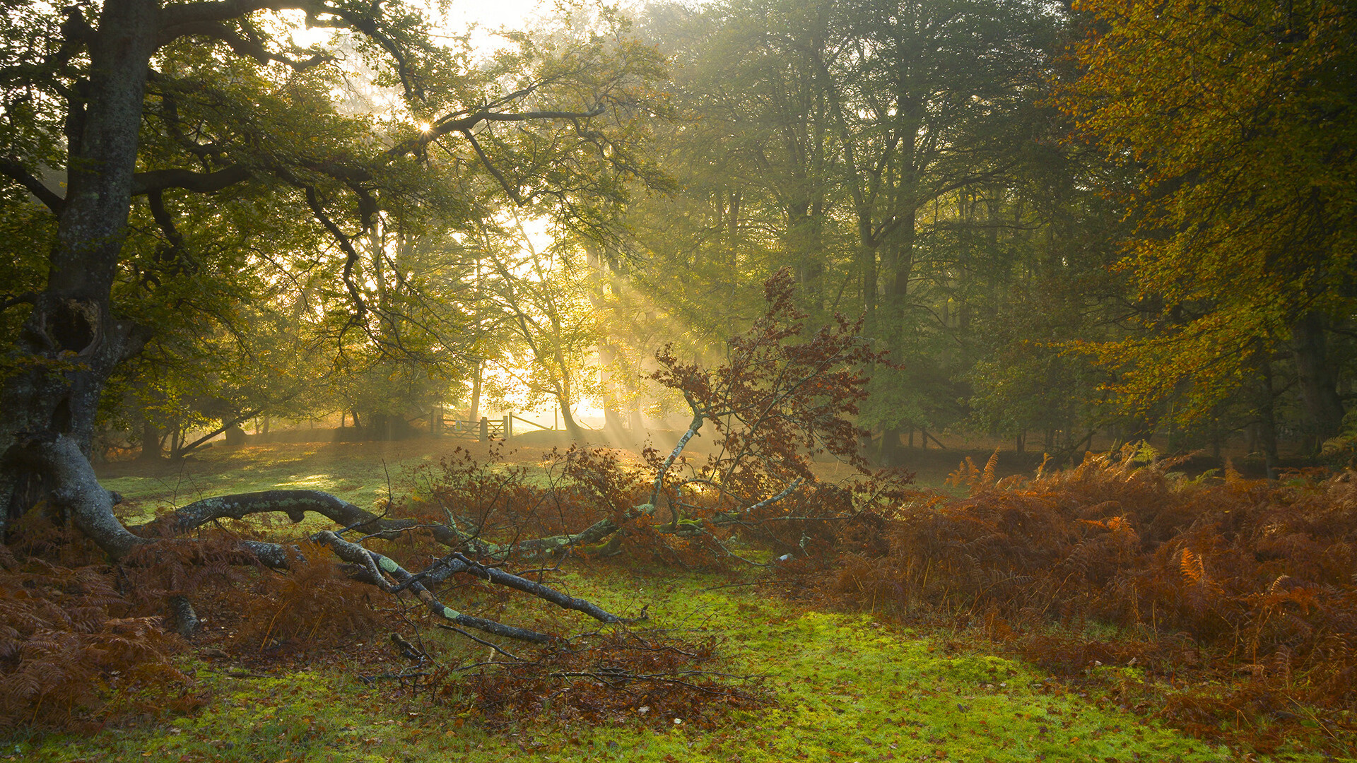 爱游戏全站-史上最具话题的运动事件，你不能错过的那些瞬间，关于运动的典型事例